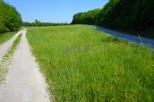 Breitenbrunn, Leithagebirge