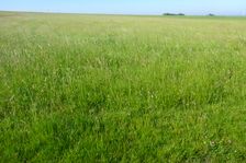 Airfield Spitzerberg