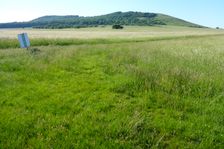 Edge of Airfield Spitzerberg, view to Spitzerberg