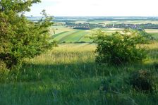 Spitzerberg, view to Prellenkirchen