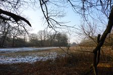 WWF-nature reservation Marchauen, Marchegg