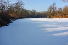 WWF-nature reservation Marchauen, Marchegg