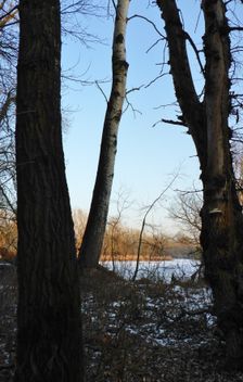 WWF-nature reservation Marchauen, Marchegg