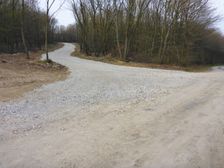 Purbach, Leithagebirge, new built forest road for intensifying forest use