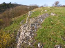 Purbacher Heide