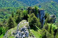 Chládkové úplazy, nižné bralo