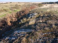 Breitenbrunn, NSG Thenau(riegel)