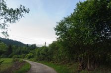Delava