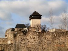 Trenčiansky hrad,od lesopaku Brezina.