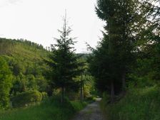 Delava