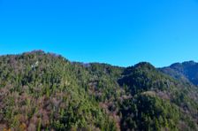 Haľamova kopa 1344m & Kavková 993m & Malé Krahulčie 1041m