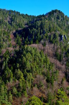 Malé Krahulčie 1041m