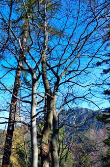 Haľamova kopa 1344m