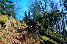 Veľký Rakytov 1142m