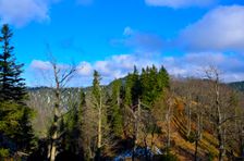 Priezory 1352m