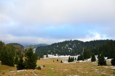 Smrekovica 1416m