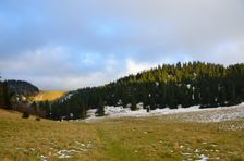 Smrekovica 1416m