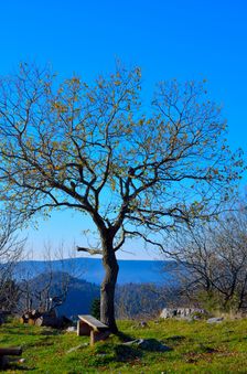 Flochová 1318m, pohodová lavička