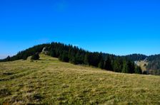 Smrekovica 1416m