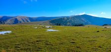 Krížna 1574m, šachovnica zarastá