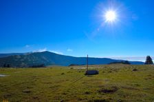 Kráľova planina, tyč & Krížna 1574m, šachovnica zarastá