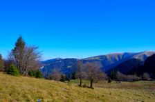 Frčkov 1586m & Magura pod Ostredkom 1386m & Ostredok 1595m