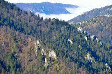 Haľamova kopa, bralá