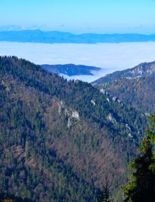 Haľamova kopa, bralá