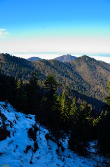 Severný svah Smrekova