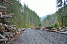 Dedošova dolina, rozbahnená ťažba