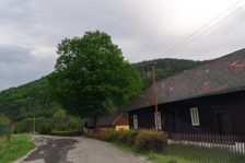 Samoty