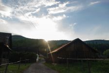 Delava