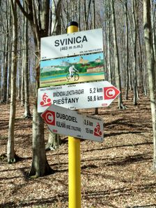 Svinica 463mnm
