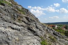Hundsheimer Berg