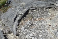 Hundsheimer Berg, limestone rock