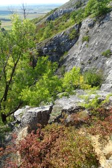 Hundsheimer Berg