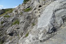 Hundsheimer Berg, limestone rock