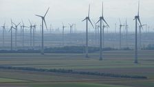 Hundsheimer Berg; these power plants endanger flying animals