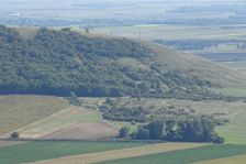 Spitzerberg & motocross slope, a species-rich habitat complex