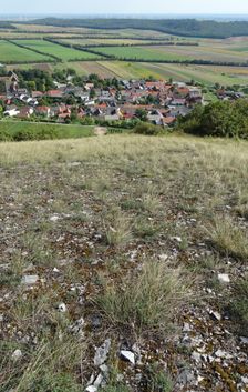 Hundsheimer Berg, Hundsheim & Spitzerberg