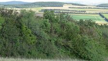 Hundsheimer Berg, Hainburger Berge