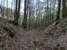 Cesta pre lesný traktor