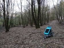 Lesná cesta