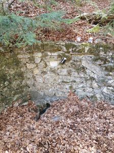 Krasový prameň Ignác