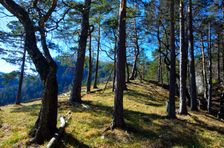 Bukovské bralo, plošina