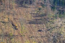 Drevokazný oceľový pavúk