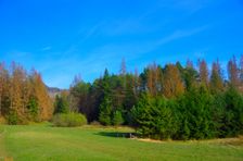 Mošovská lykožrútová katastrofa