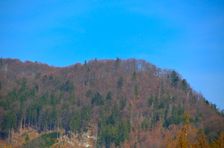 Malinie 964m