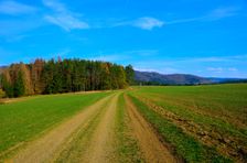 Mošovská lykožrútová katastrofa