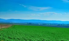 Turčiansky Michal, Rímskokatolícky kostol sv. Michala & Žiar